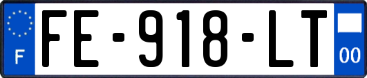 FE-918-LT