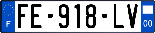 FE-918-LV