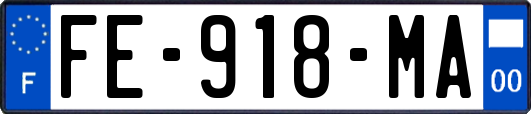 FE-918-MA
