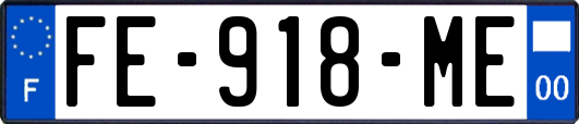 FE-918-ME