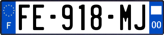 FE-918-MJ