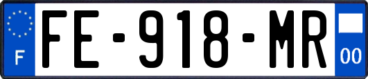 FE-918-MR