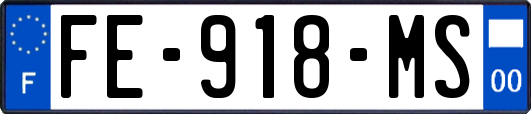 FE-918-MS