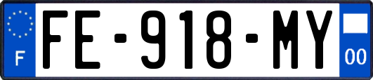 FE-918-MY