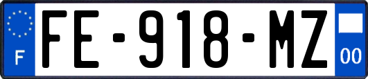 FE-918-MZ
