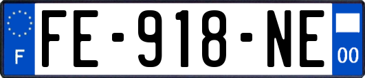 FE-918-NE