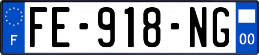 FE-918-NG