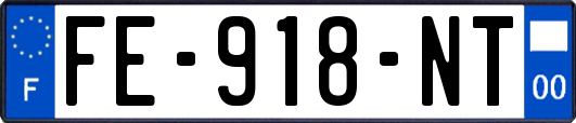FE-918-NT