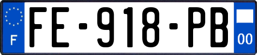 FE-918-PB