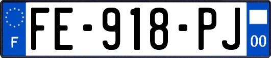 FE-918-PJ