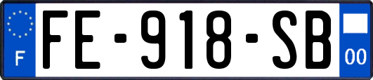 FE-918-SB