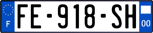 FE-918-SH