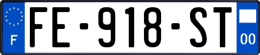 FE-918-ST