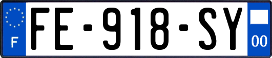 FE-918-SY