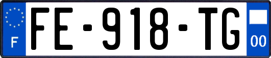 FE-918-TG