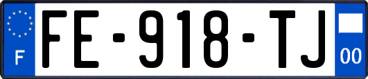 FE-918-TJ