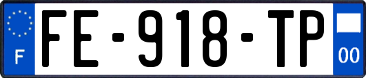FE-918-TP