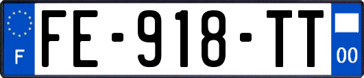 FE-918-TT