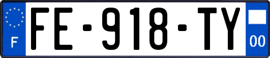 FE-918-TY