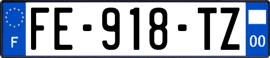 FE-918-TZ