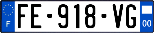 FE-918-VG