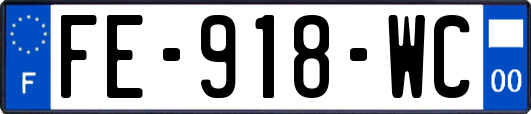 FE-918-WC