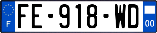 FE-918-WD