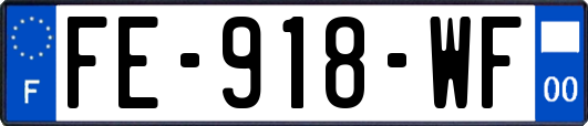 FE-918-WF