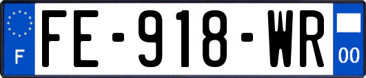FE-918-WR