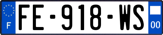 FE-918-WS