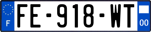 FE-918-WT