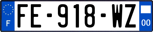 FE-918-WZ