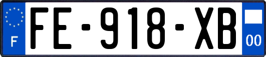 FE-918-XB