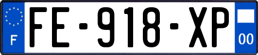 FE-918-XP