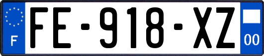 FE-918-XZ