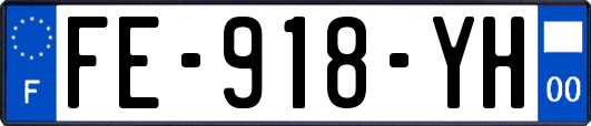 FE-918-YH