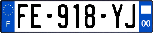 FE-918-YJ