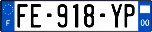 FE-918-YP