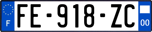 FE-918-ZC