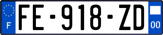 FE-918-ZD