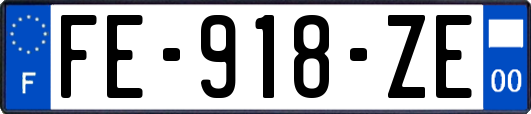 FE-918-ZE