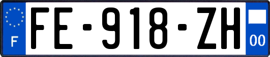 FE-918-ZH