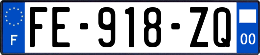 FE-918-ZQ