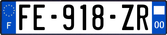 FE-918-ZR