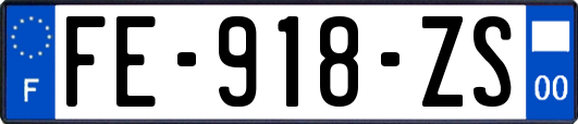 FE-918-ZS