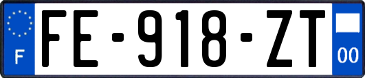 FE-918-ZT