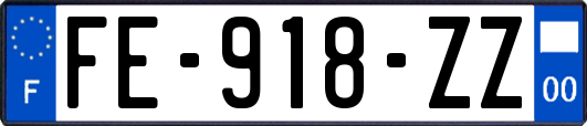 FE-918-ZZ