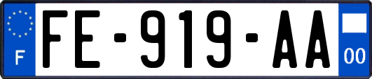 FE-919-AA