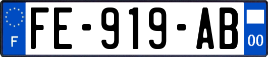 FE-919-AB