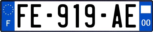 FE-919-AE